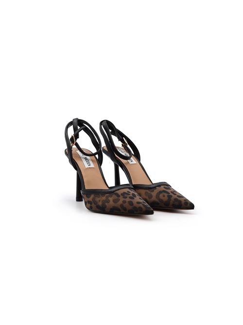  STEVE MADDEN | ALLIANCETLEO